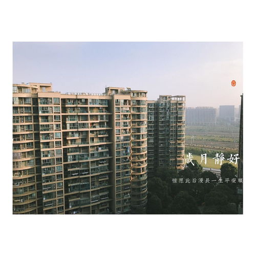 杭州东站红街公寓 灵活租期，非中介合租低至1000元