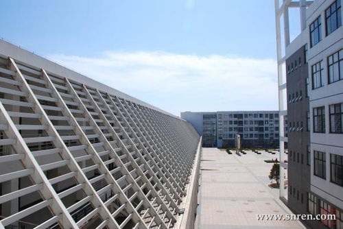 日照职业技术学院 风格与艺术的建筑探访