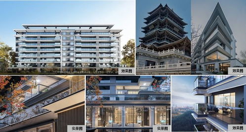 23城120平以上产品成交占比提升 中国金茂发布四大全新产品线 —— 3月住宅产品月报聚焦非居住房地产租赁趋势