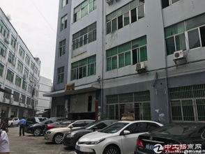 横岗六约深坑服装厂转型租赁 450平精装空间激活产业新价值